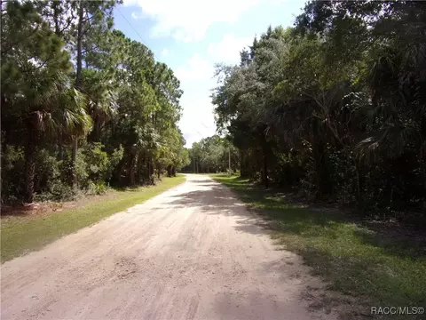 0 Azalee Ave, Inglis, FL 34449 photo 2