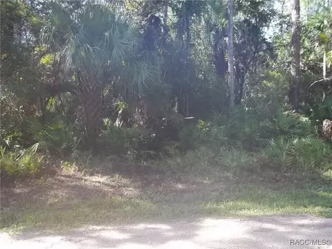 0 Azalee Ave, Inglis, FL 34449 photo 4