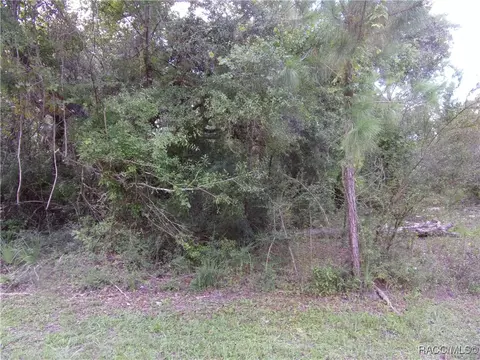 0 Azalee Ave, Inglis, FL 34449 photo 3