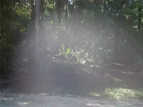 0 Azalee Ave, Inglis, FL 34449 photo 5
