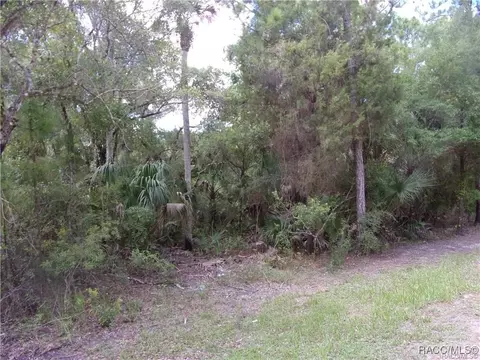 0 Azalee Ave, Inglis, FL 34449 photo 6