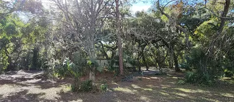 6841 N Heidi Dr, Hernando, FL 34442 photo 4