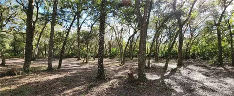 6841 N Heidi Dr, Hernando, FL 34442 photo 5
