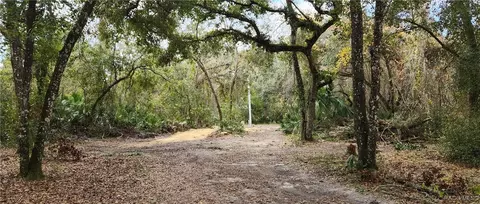 6841 N Heidi Dr, Hernando, FL 34442 photo 8