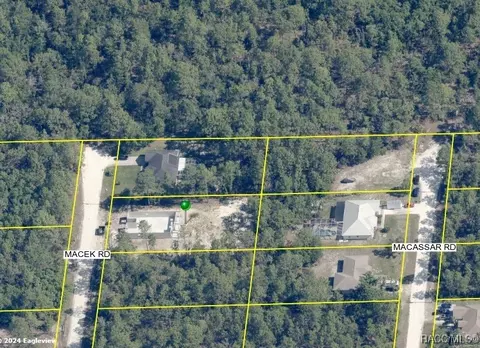 18384 Macek Rd, Weeki Wachee, FL 34614 photo 40