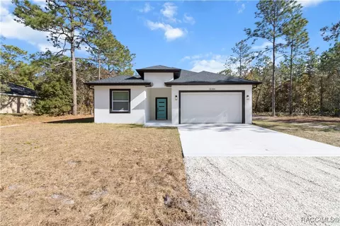 18384 Macek Rd, Weeki Wachee, FL 34614 photo 37