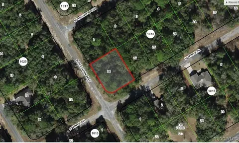 55 W Vince Pl, Citrus Springs, FL 34434