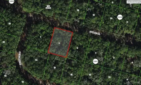 1308 E Urmey Pl, Citrus Springs, FL 34434