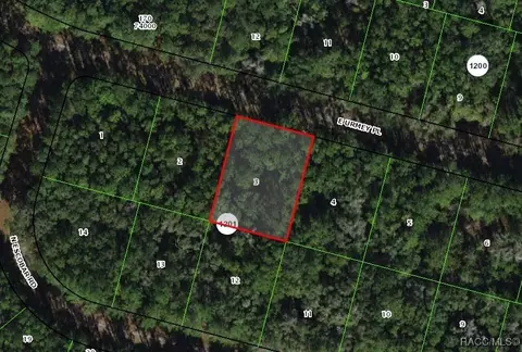1322 E Urmey Pl, Citrus Springs, FL 34434
