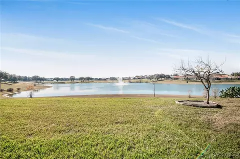 View/Area - 1370 W Diamond Shore Loop, Hernando, FL 34442 photo 2 of 6