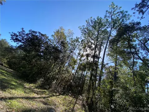 2550 S Woodbine Ave, Homosassa, FL 34448