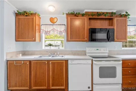1129 E La Salle St, Hernando, FL 34442 photo 13