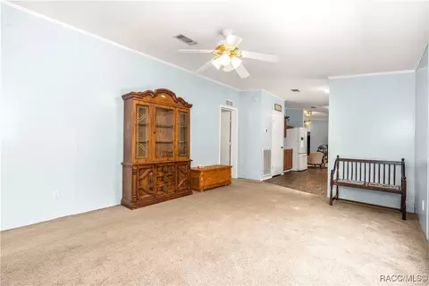 1129 E La Salle St, Hernando, FL 34442 photo 18