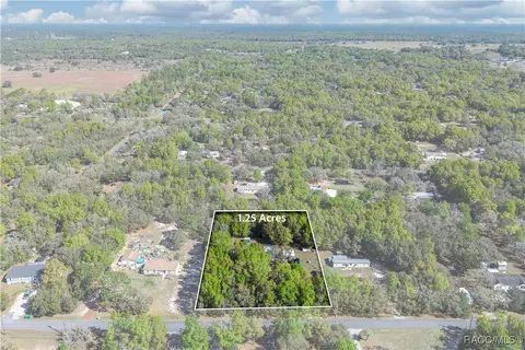 1129 E La Salle St, Hernando, FL 34442 photo 2