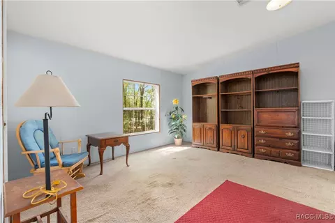 1129 E La Salle St, Hernando, FL 34442 photo 29