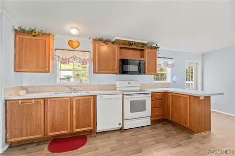 1129 E La Salle St, Hernando, FL 34442 photo 12