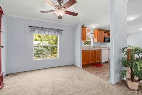 1129 E La Salle St, Hernando, FL 34442 photo 9