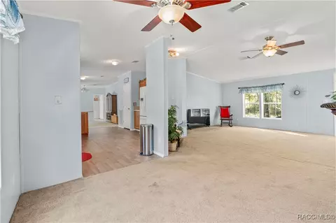 1129 E La Salle St, Hernando, FL 34442 photo 10