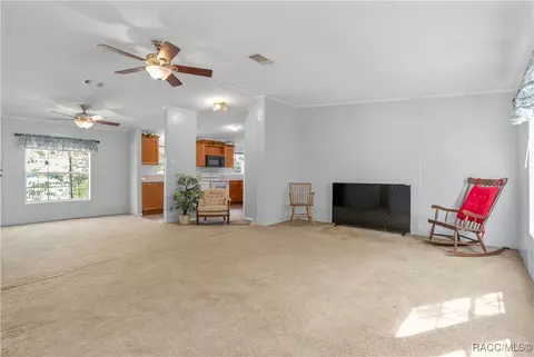 1129 E La Salle St, Hernando, FL 34442 photo 8