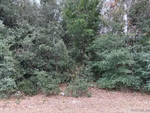 2856 W Manitoba Pl, Citrus Springs, FL 34433