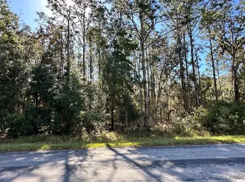 516 W National St, Hernando, FL 34442