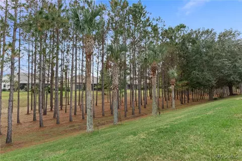 Exterior - 1192 W Beagle Run Loop, Hernando, FL 34442 photo 14 of 14