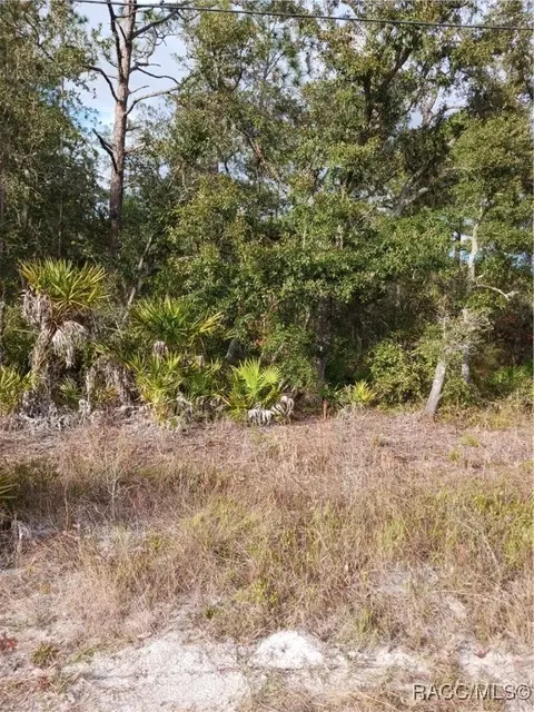 6887 W Oak Park Blvd, Homosassa, FL 34446