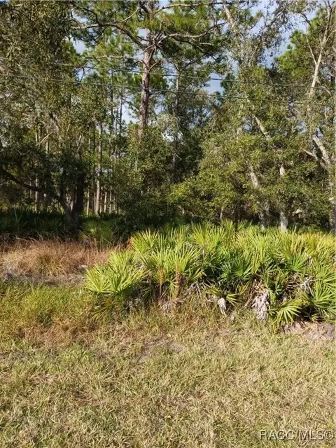 6905 W Oak Park Blvd, Homosassa, FL 34446