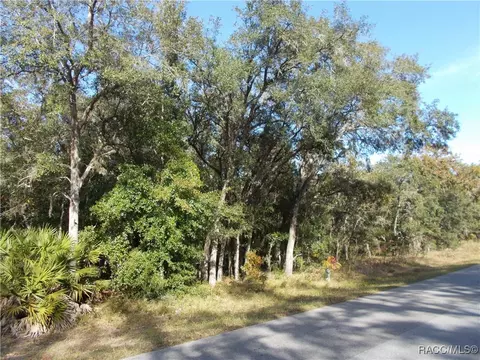 895 W Olympia St, Hernando, FL 34442
