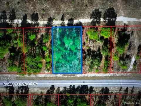 6866 N Sandborn Loop, Citrus Springs, FL 34433