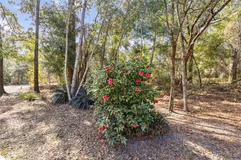 Exterior - 1751 E Tradewind Dr, Hernando, FL 34442 photo 14 of 18