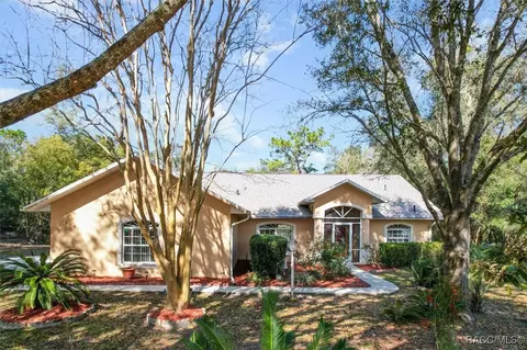 Exterior - 1751 E Tradewind Dr, Hernando, FL 34442 photo 17 of 18