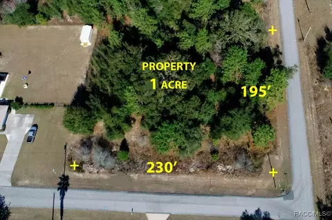 5595 E Bella Ln, Inverness, FL 34452