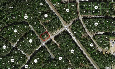 11074 N Edith Pt, Citrus Springs, FL 34434