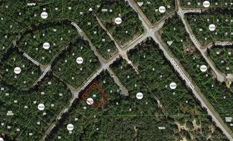 532 W G Martinelli Blvd, Citrus Springs, FL 34434