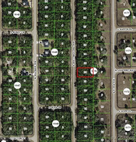 8645 N Wallingford Ave, Citrus Springs, FL 34434