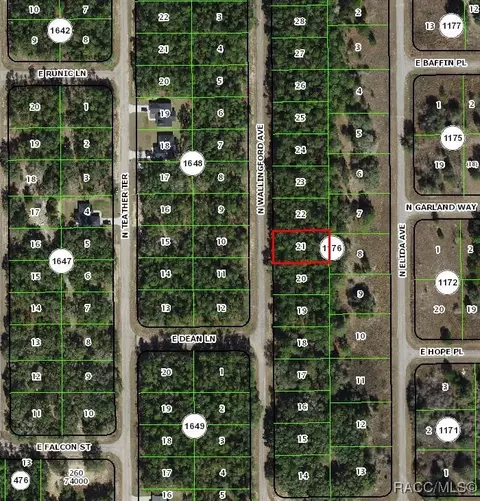 8633 N Wallingford Ave, Citrus Springs, FL 34434