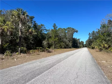 10054 N Twinflower Ter, Crystal River, FL 34428