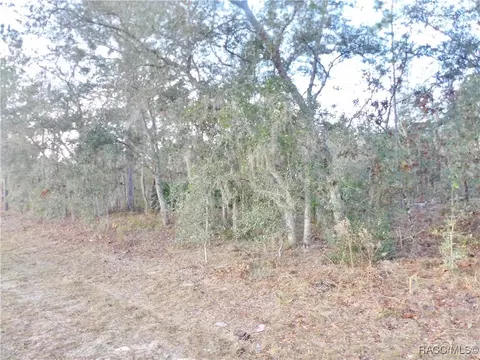 6792 N Varsity Ave, Citrus Springs, FL 34434