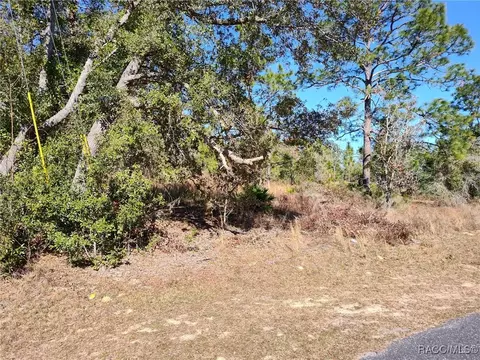 2490 W Swanson Dr, Citrus Springs, FL 34434