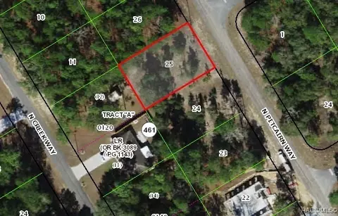 8244 N Pitcairn Way, Citrus Springs, FL 34434