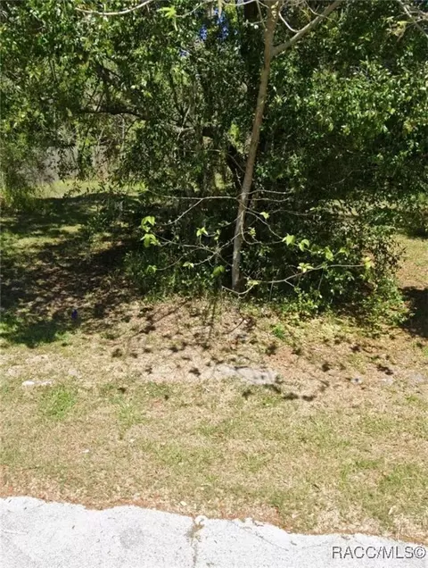 tbd Queener Ave, New Port Richey, FL 34668
