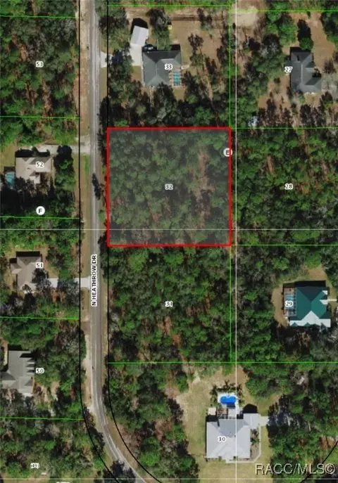 735 N Heathrow Dr, Lecanto, FL 34461