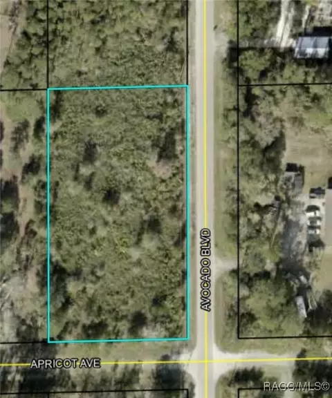 5982 Apricot Ave, Bunnell, FL 32110 photo 1