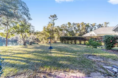 3338 N Chandler Dr, Hernando, FL 34442 photo 37