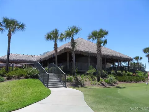 3338 N Chandler Dr, Hernando, FL 34442 photo 59