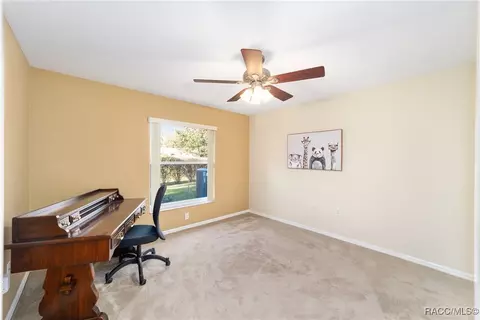 3338 N Chandler Dr, Hernando, FL 34442 photo 31