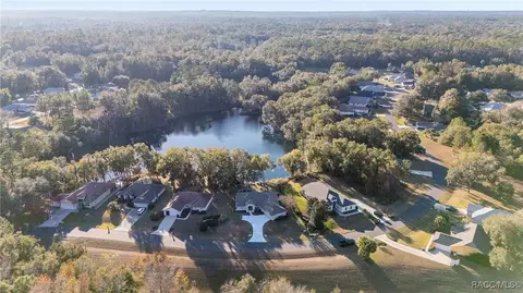 3338 N Chandler Dr, Hernando, FL 34442 photo 43