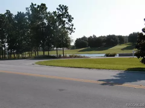 3338 N Chandler Dr, Hernando, FL 34442 photo 61