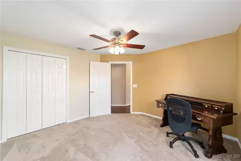 3338 N Chandler Dr, Hernando, FL 34442 photo 32